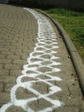 kolams-28